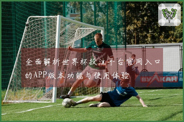 全面解析世界杯投注平台官网入口的APP版本功能与使用体验