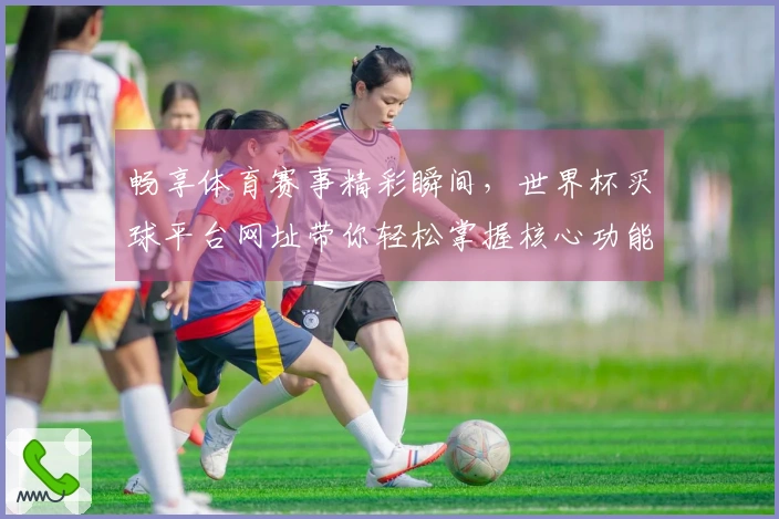 畅享体育赛事精彩瞬间，世界杯买球平台网址带你轻松掌握核心功能体验