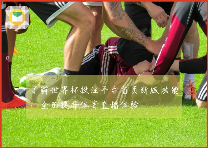 了解世界杯投注平台首页新版功能，全面提升体育直播体验