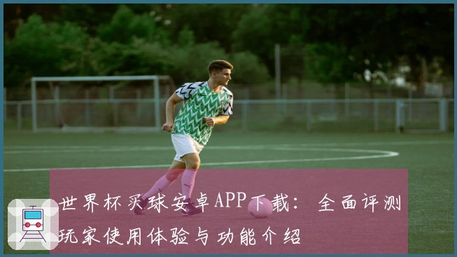 世界杯买球安卓APP下载：全面评测玩家使用体验与功能介绍