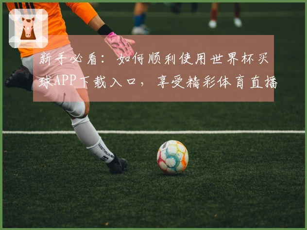 新手必看：如何顺利使用世界杯买球APP下载入口，享受精彩体育直播体验