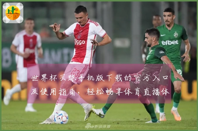 世界杯买球手机版下载的官方入口及使用指南，轻松畅享体育直播体验