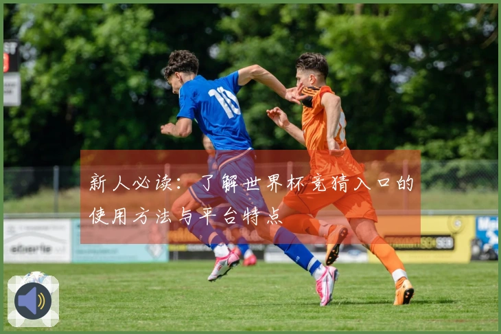 新人必读：了解世界杯竞猜入口的使用方法与平台特点
