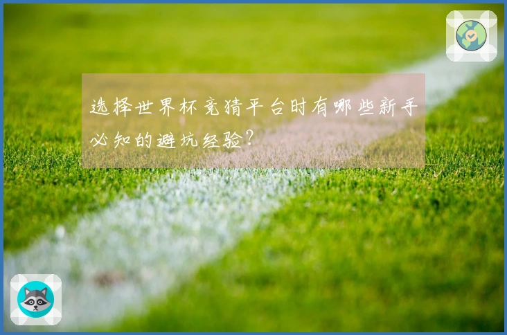 选择世界杯竞猜平台时有哪些新手必知的避坑经验？