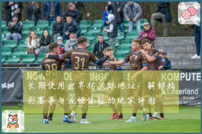 长期使用世界杯买球地址，解锁精彩赛事与流畅体验的玩家评测