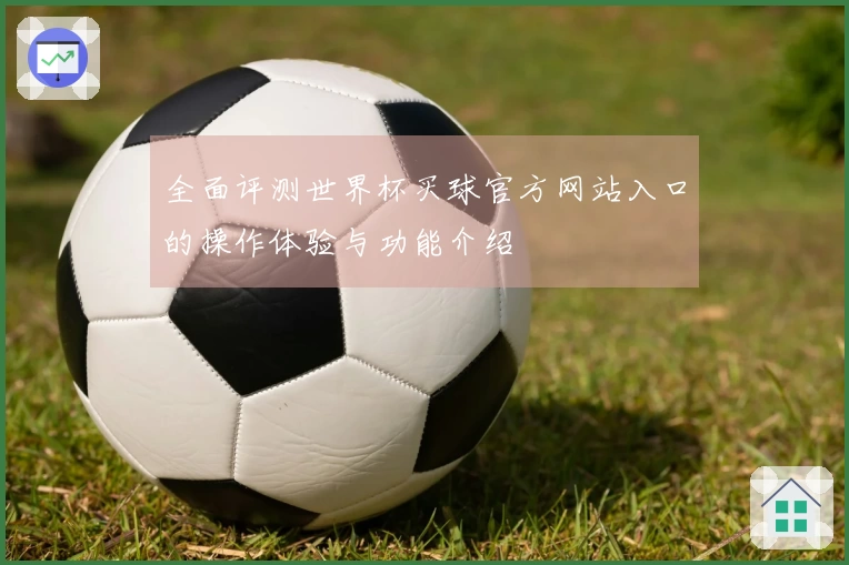 全面评测世界杯买球官方网站入口的操作体验与功能介绍