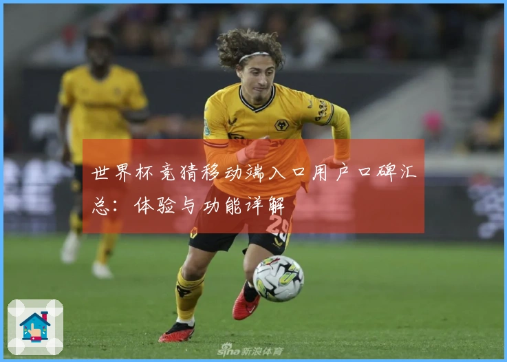 世界杯竞猜移动端入口用户口碑汇总：体验与功能详解