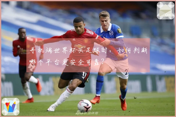手机端世界杯买足球时，如何判断哪个平台更安全可靠？