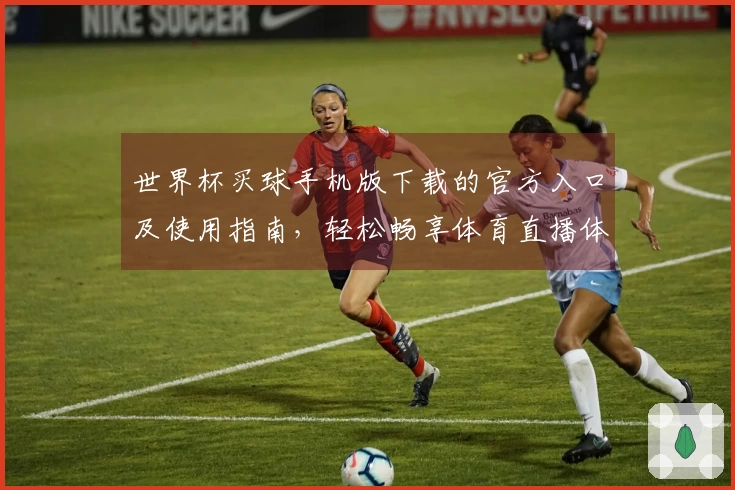世界杯买球手机版下载的官方入口及使用指南，轻松畅享体育直播体验