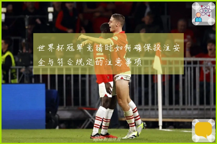 世界杯冠军竞猜时如何确保投注安全与符合规定的注意事项