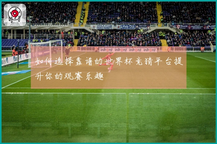 如何选择靠谱的世界杯竞猜平台提升你的观赛乐趣