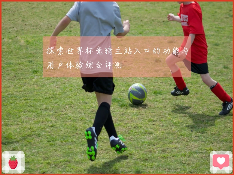 探索世界杯竞猜主站入口的功能与用户体验综合评测