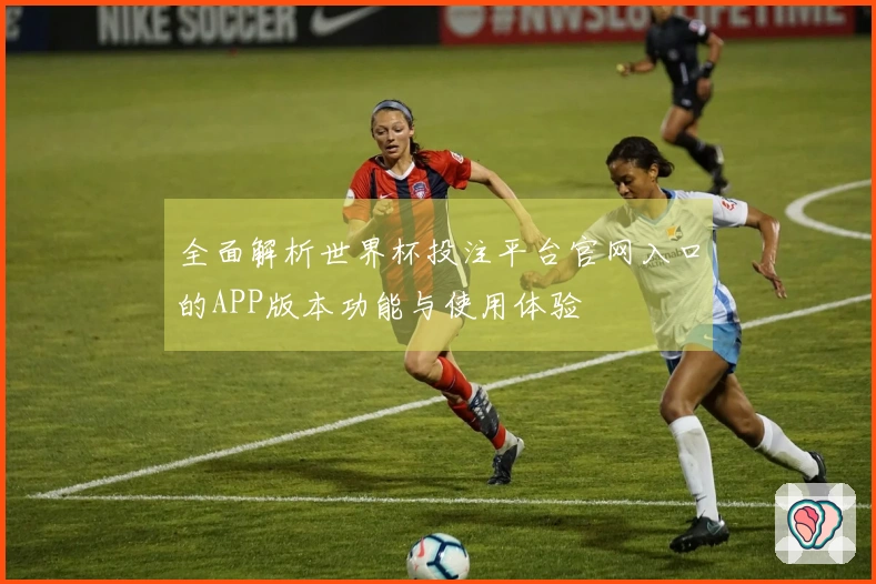 全面解析世界杯投注平台官网入口的APP版本功能与使用体验