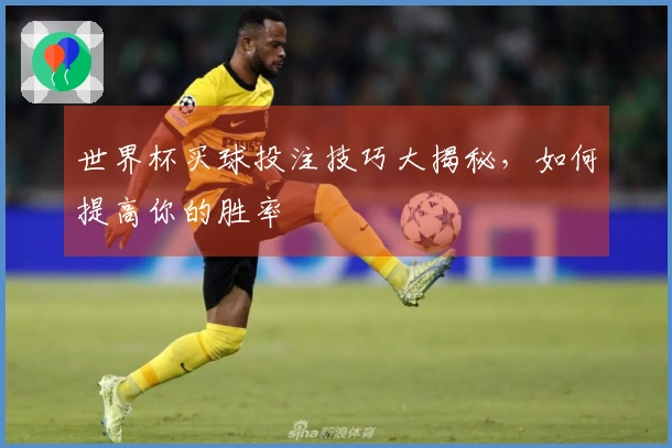 世界杯买球投注技巧大揭秘，如何提高你的胜率