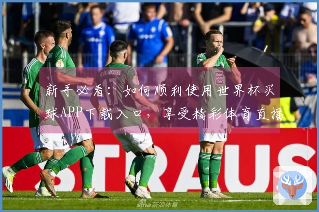 新手必看：如何顺利使用世界杯买球APP下载入口，享受精彩体育直播体验