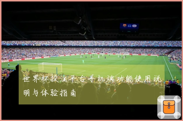 世界杯投注平台手机端功能使用说明与体验指南