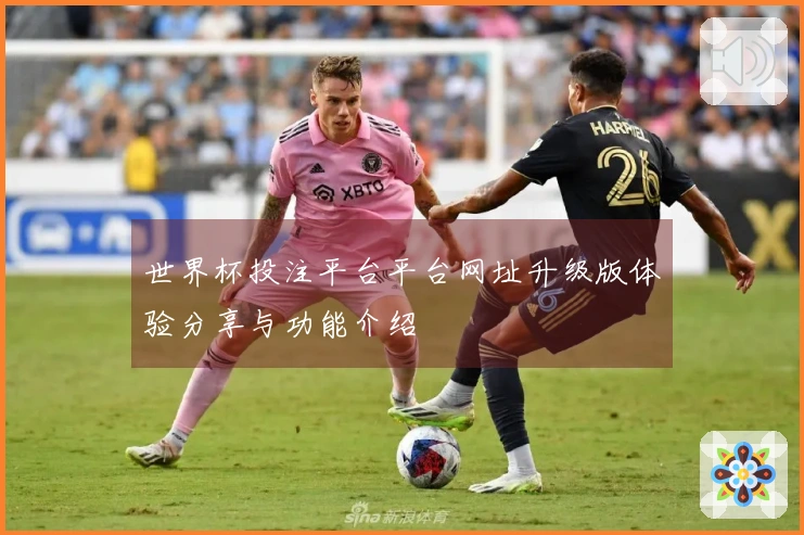 世界杯投注平台平台网址升级版体验分享与功能介绍
